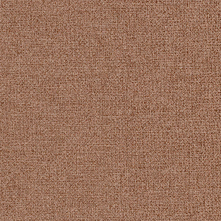 チップ画像