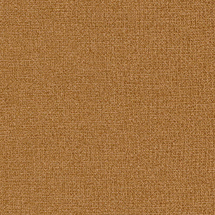 チップ画像