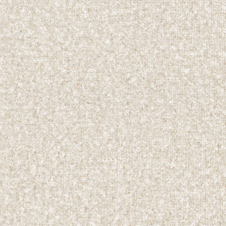チップ画像
