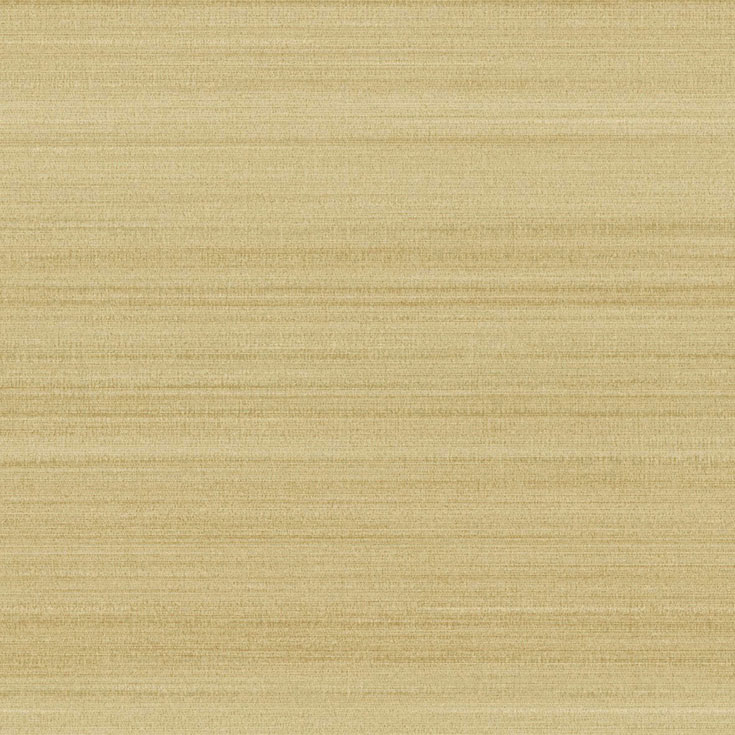 チップ画像