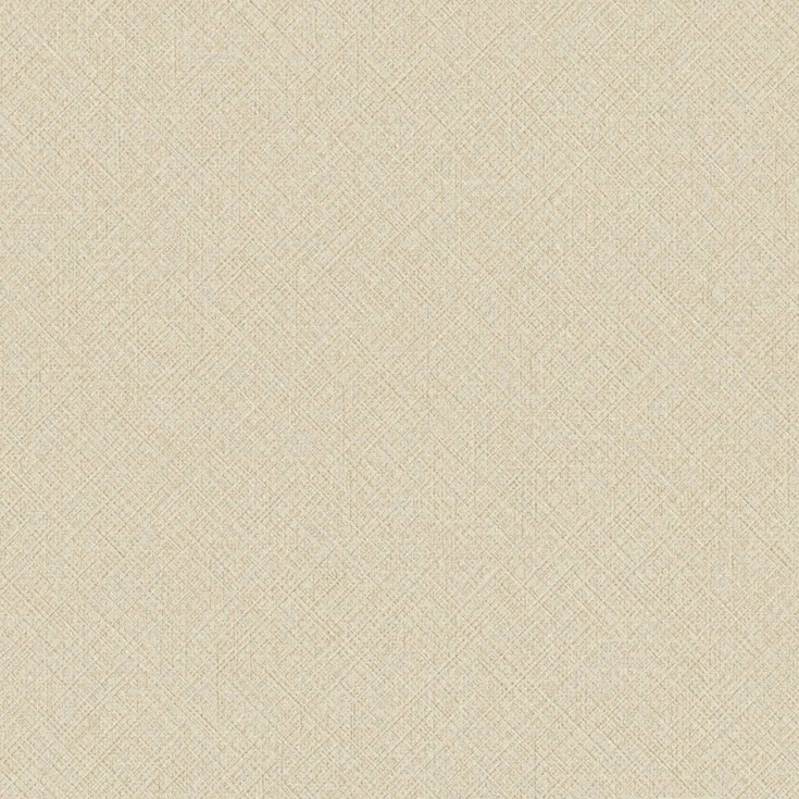 チップ画像