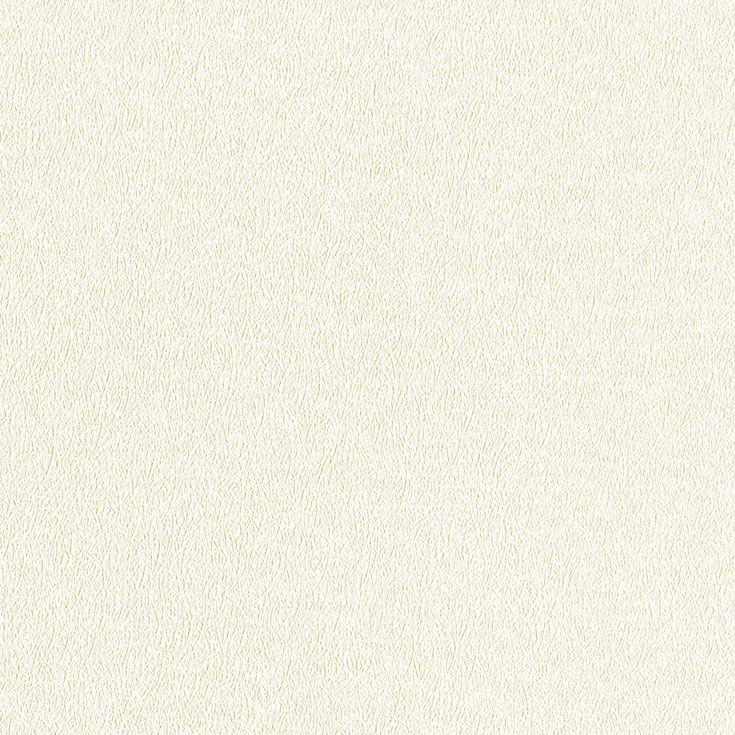 チップ画像