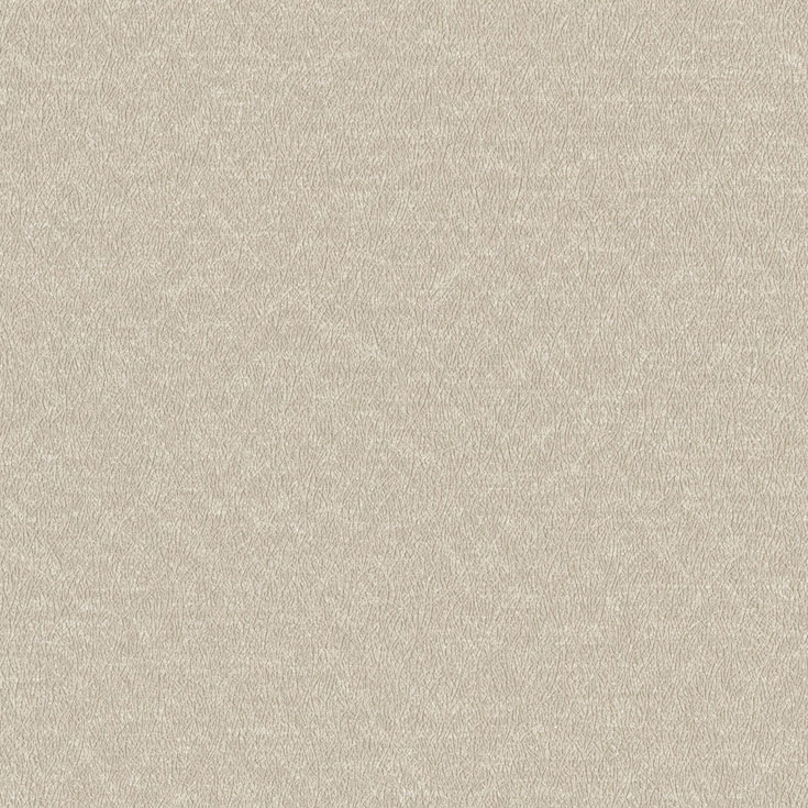 チップ画像