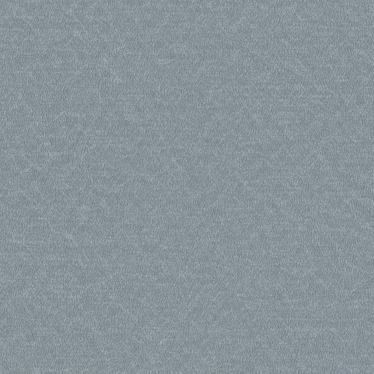 チップ画像