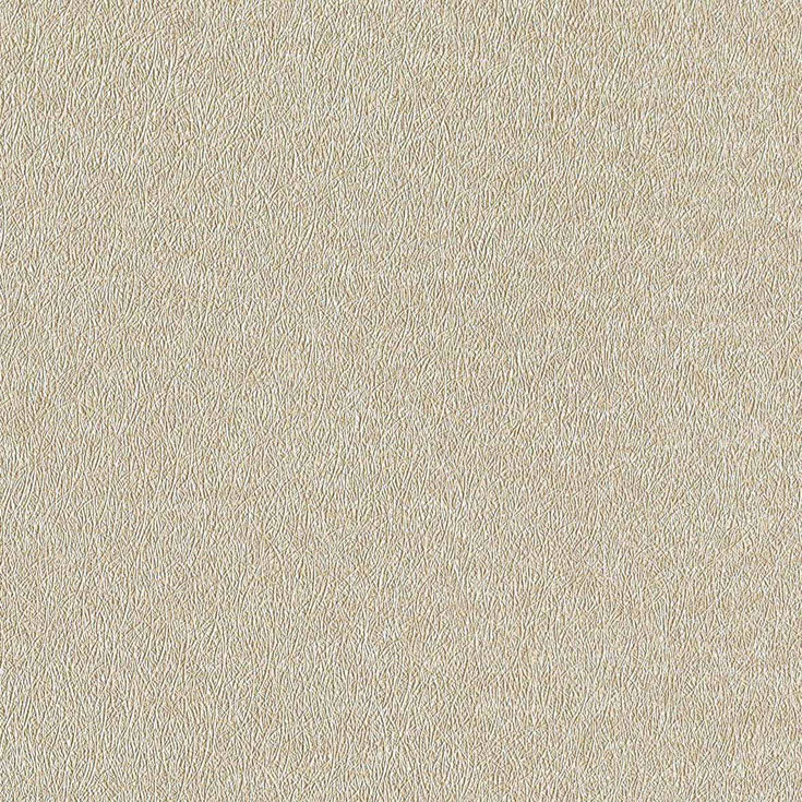 チップ画像