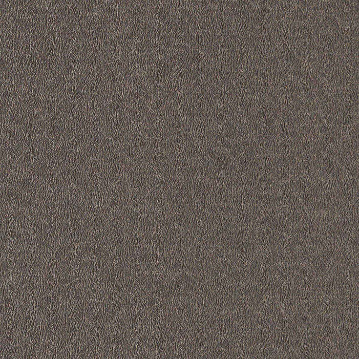 チップ画像