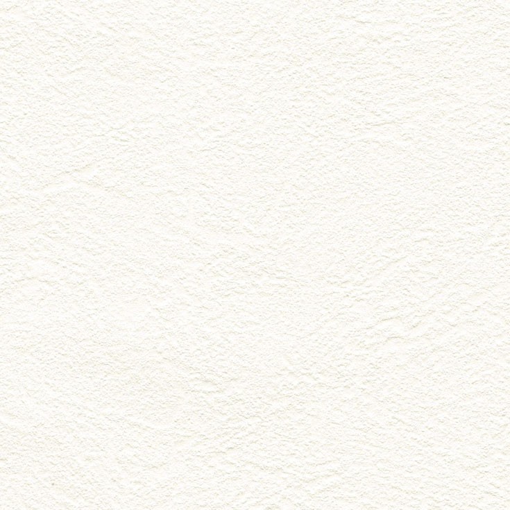 チップ画像