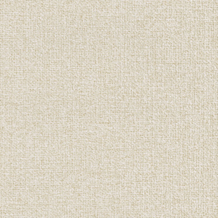 チップ画像