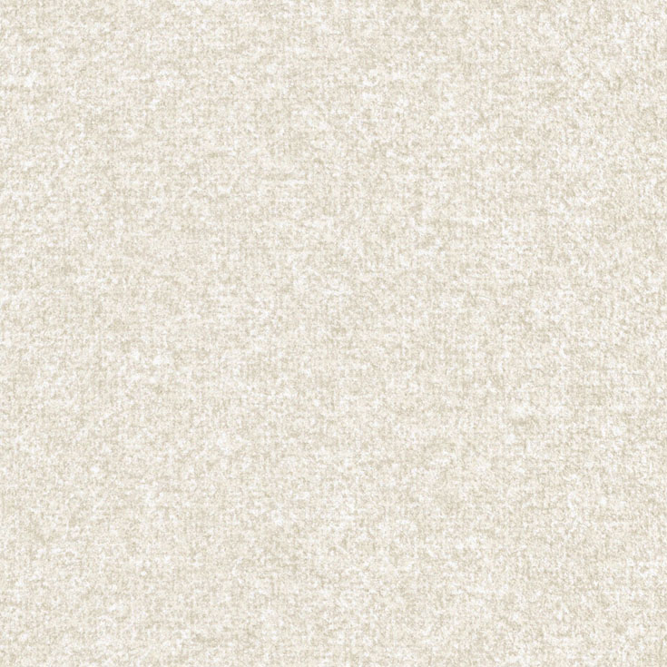 チップ画像