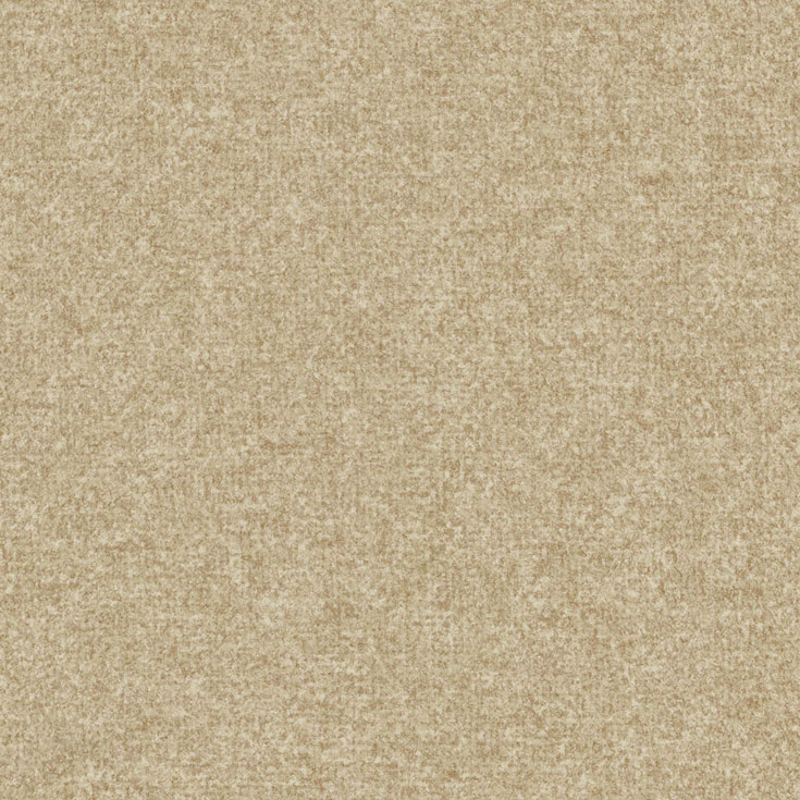 チップ画像