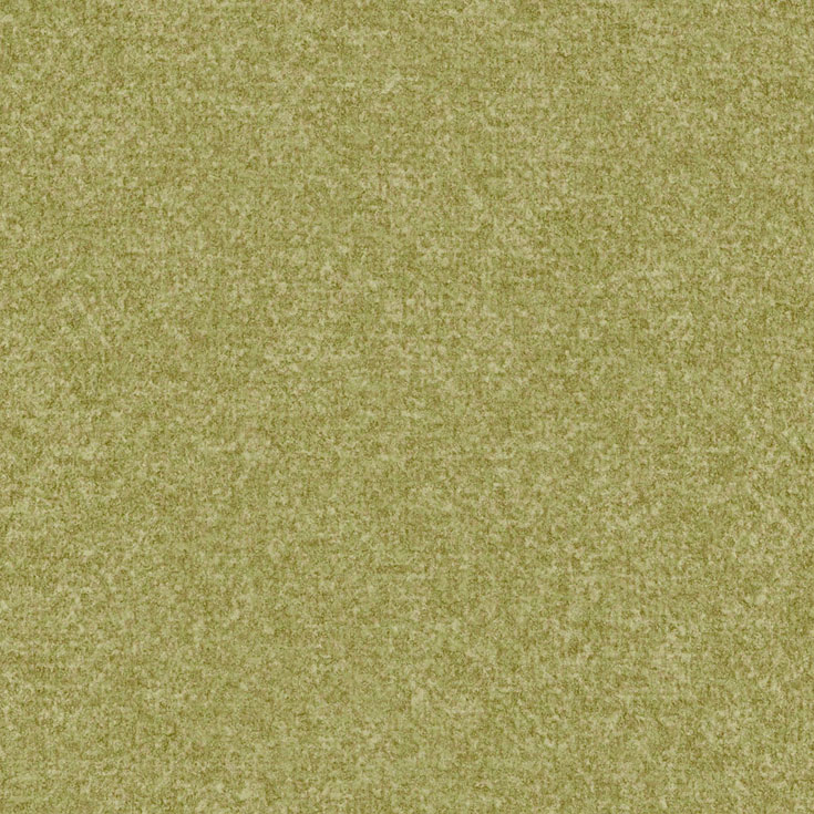 チップ画像