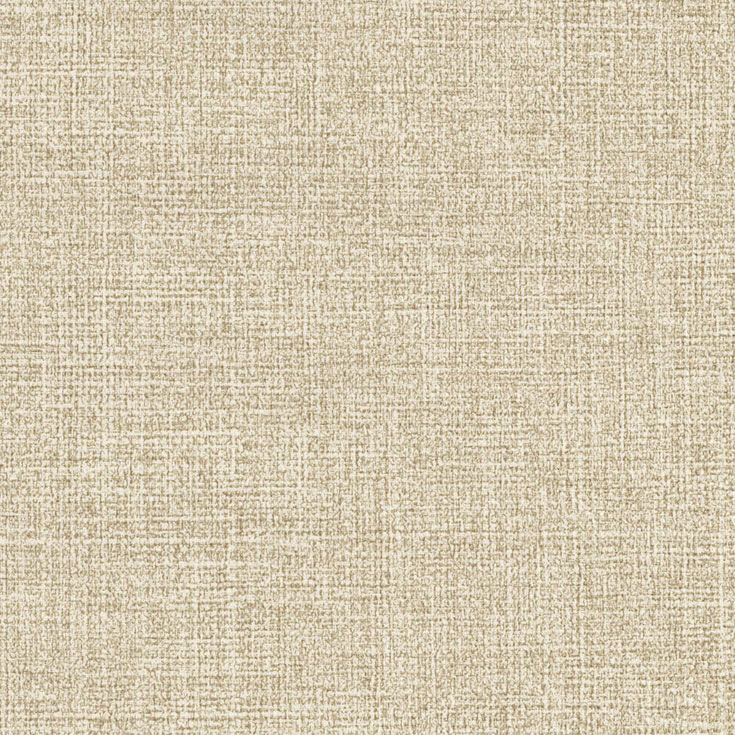 チップ画像