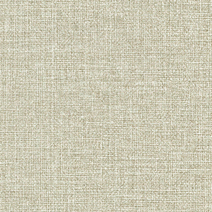 チップ画像