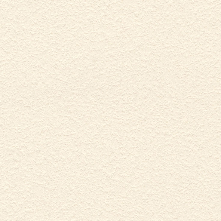 チップ画像