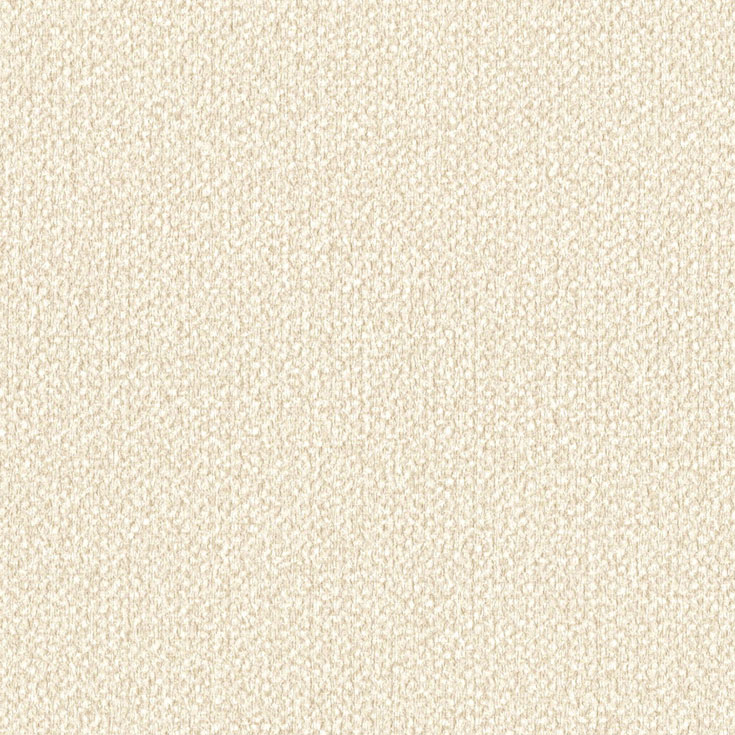 チップ画像