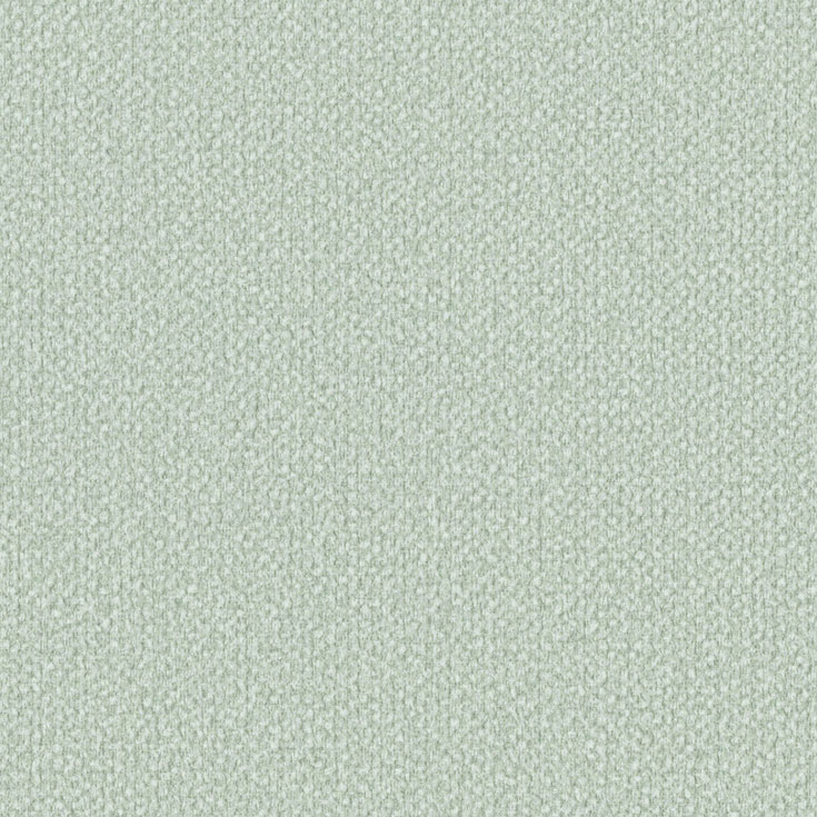 チップ画像