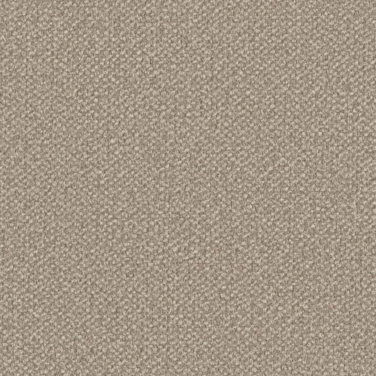 チップ画像