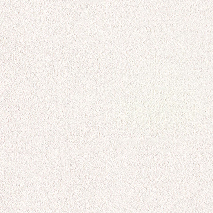 チップ画像