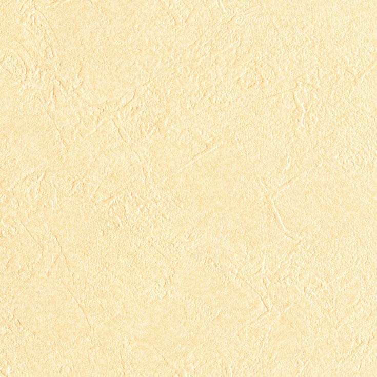チップ画像