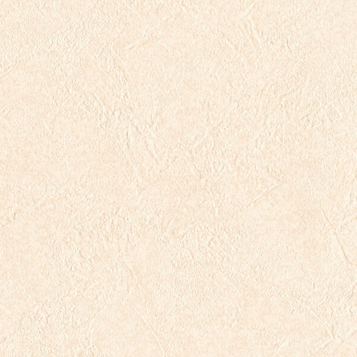 チップ画像