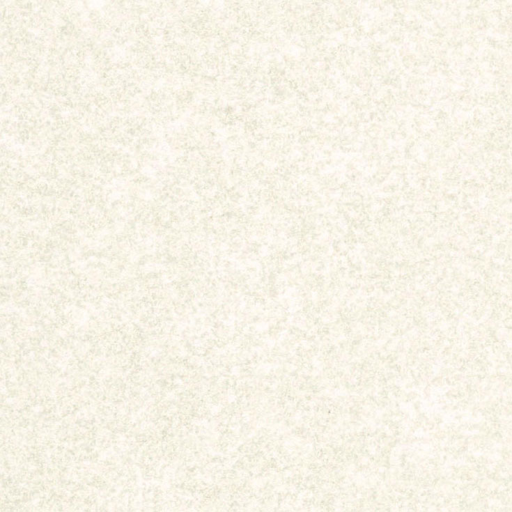 チップ画像