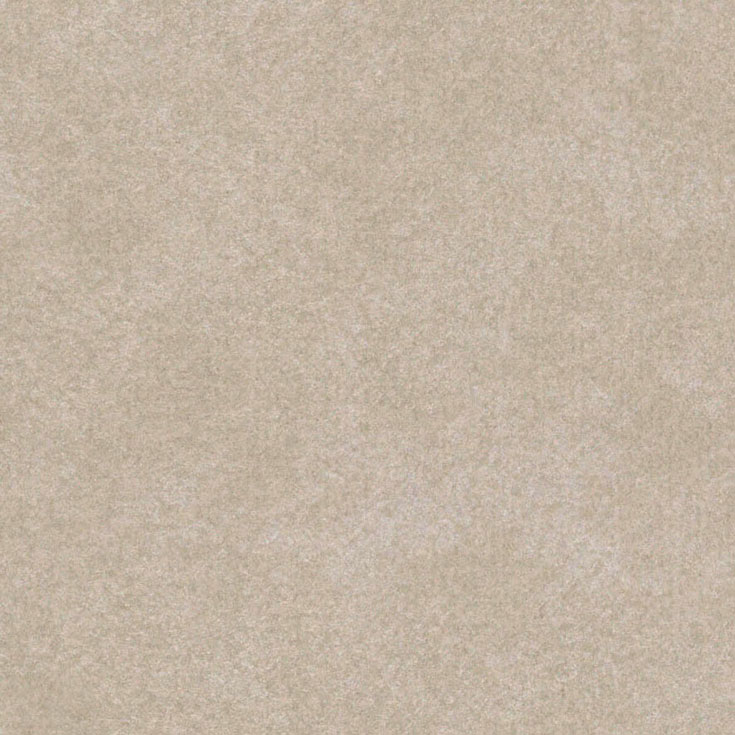 チップ画像