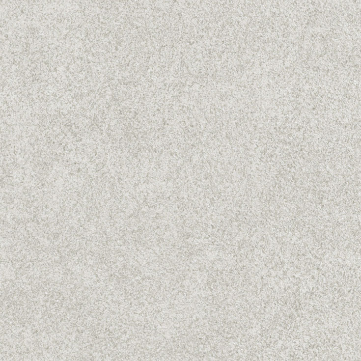 チップ画像