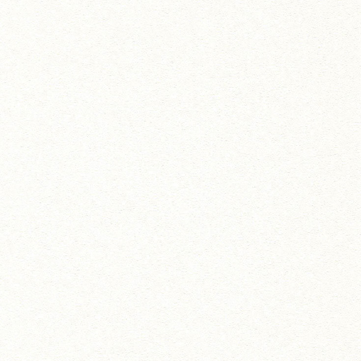 チップ画像