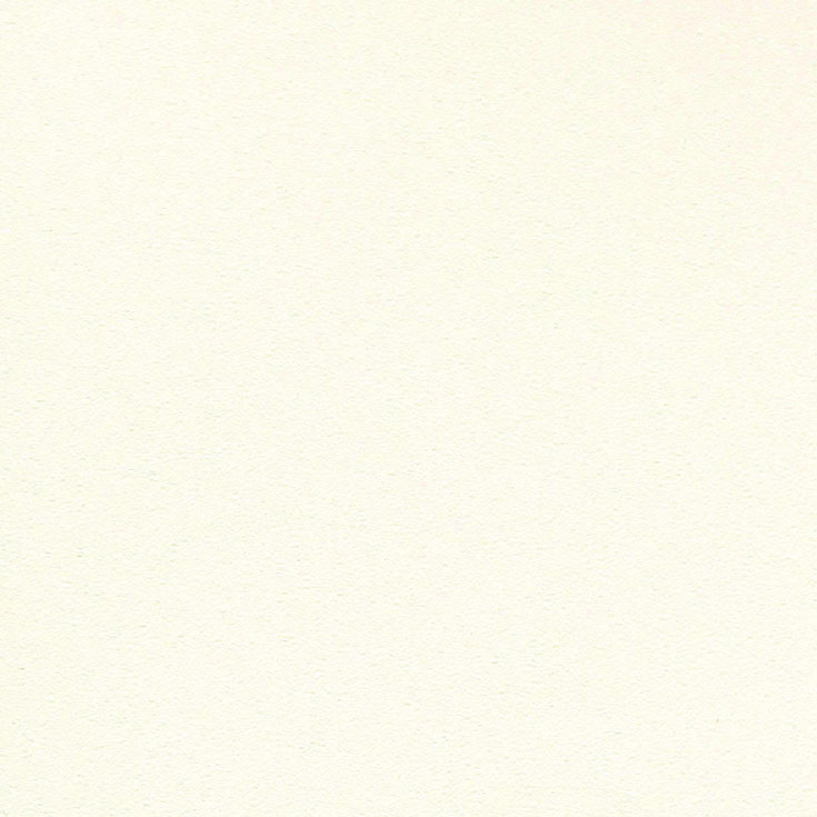 チップ画像