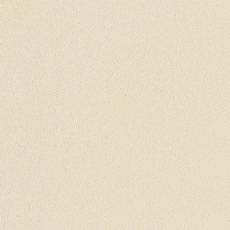 チップ画像