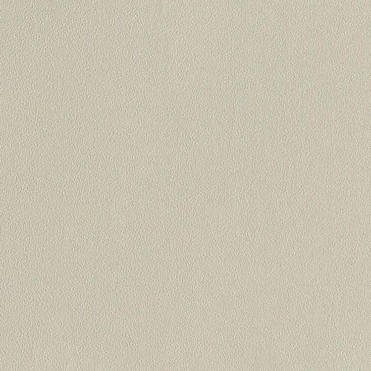 チップ画像