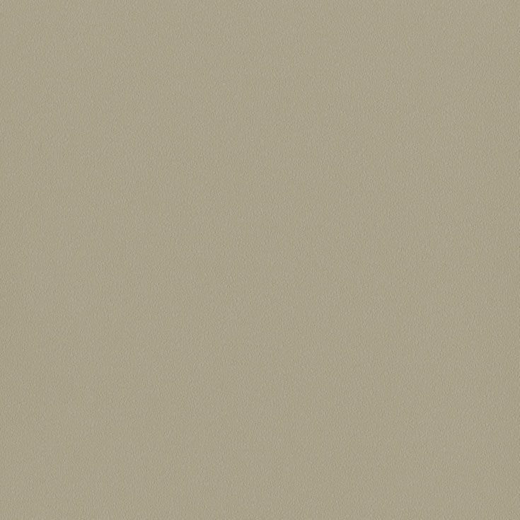 チップ画像