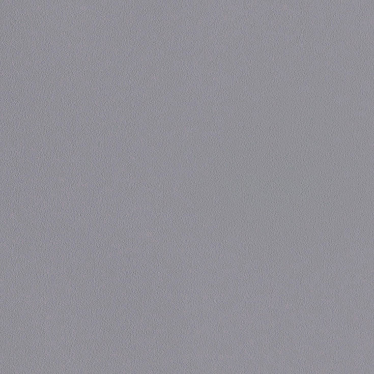 チップ画像