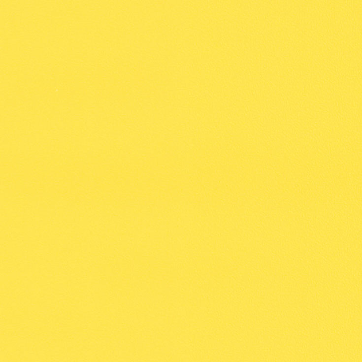 チップ画像