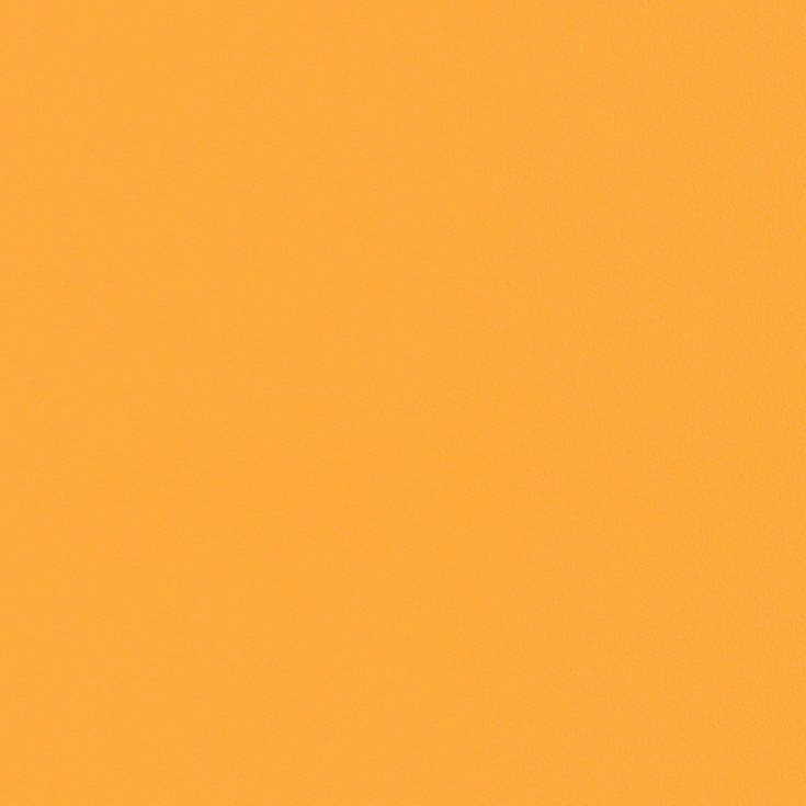 チップ画像