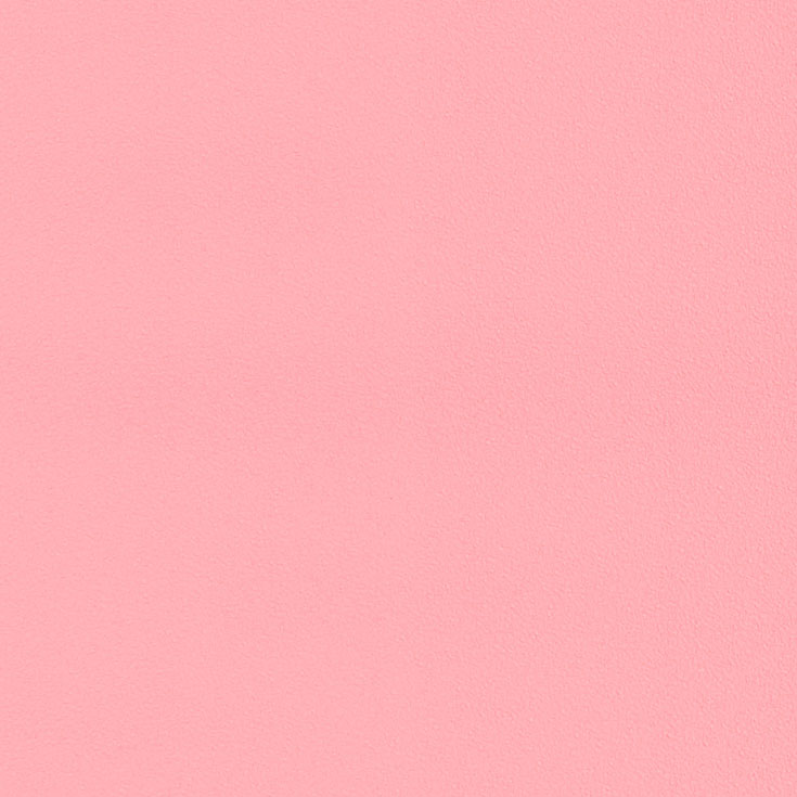 チップ画像