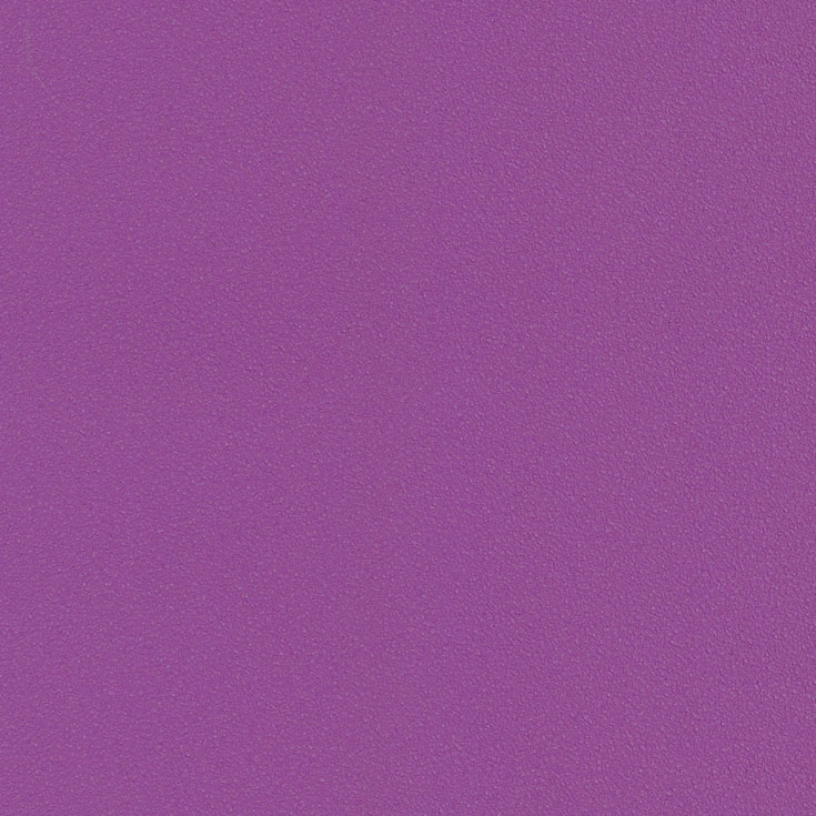 チップ画像