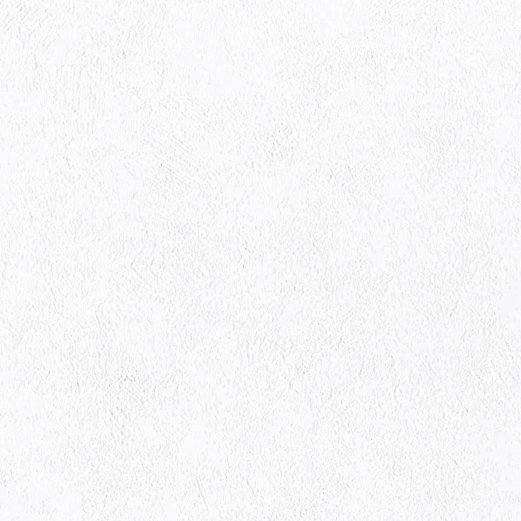 チップ画像