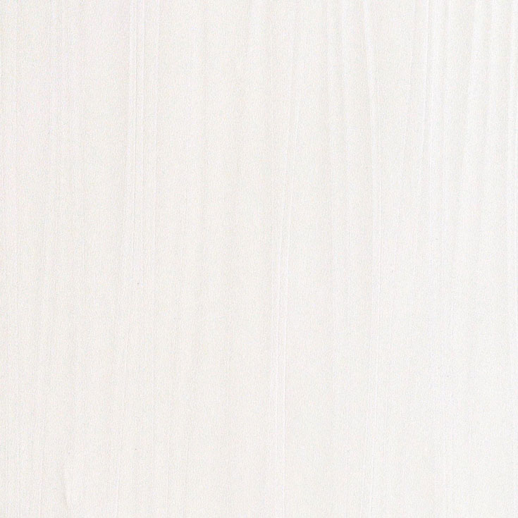 チップ画像