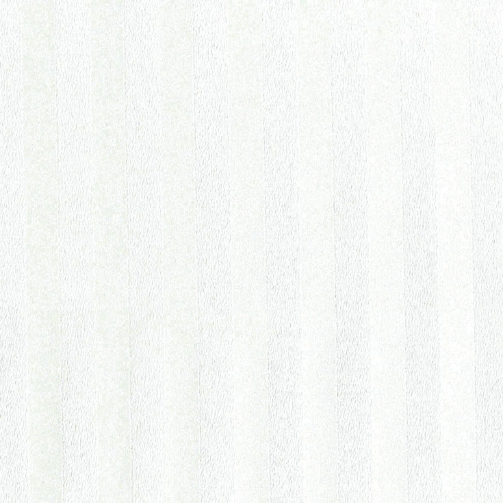 チップ画像