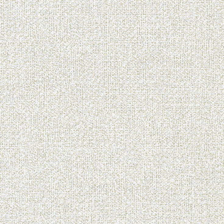 チップ画像