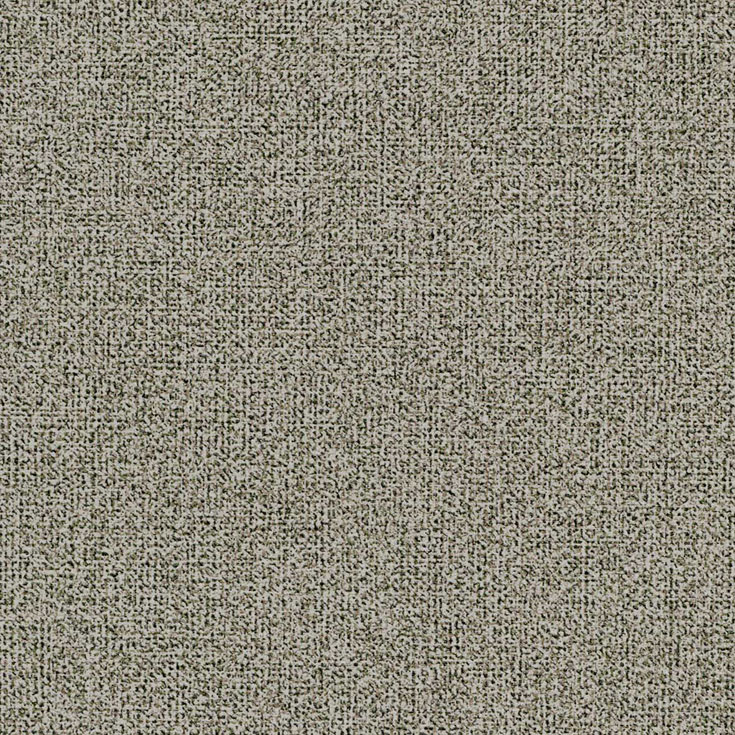 チップ画像