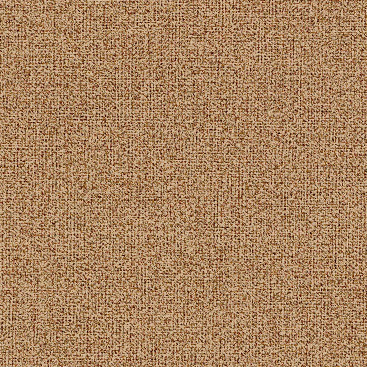 チップ画像