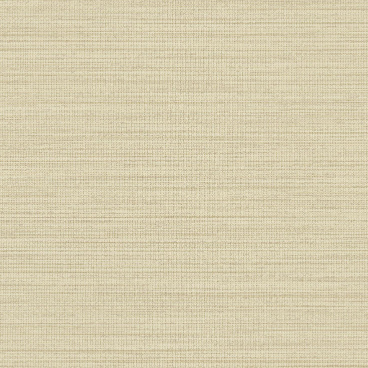 チップ画像