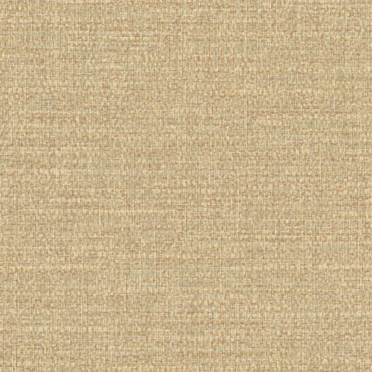 チップ画像