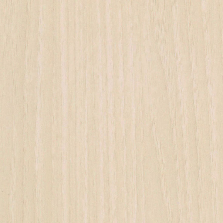 チップ画像