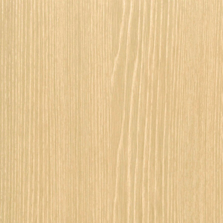 チップ画像