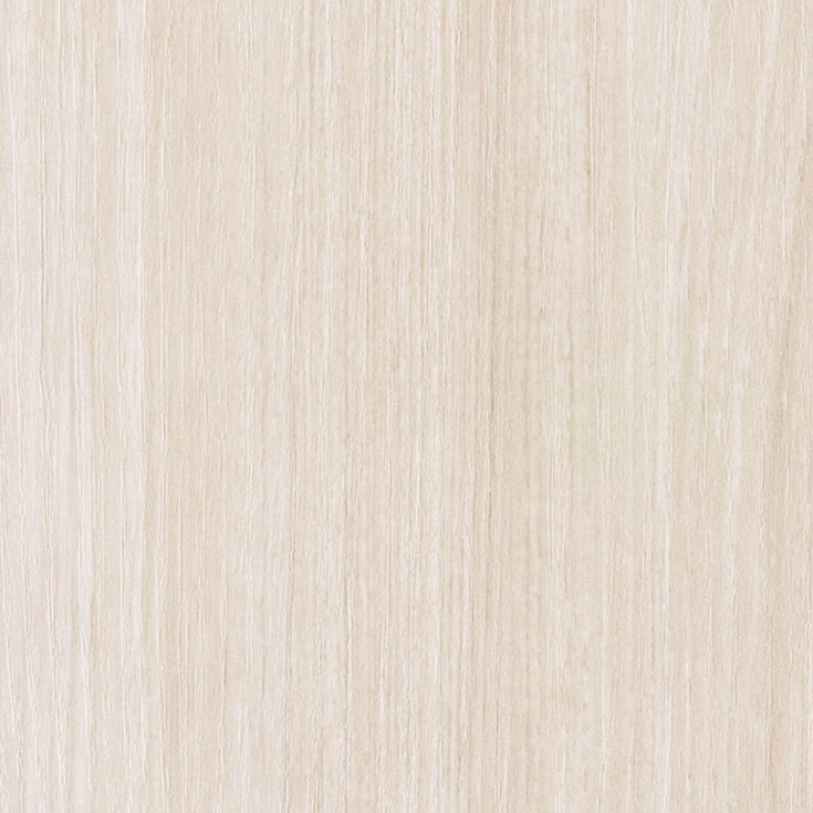 チップ画像