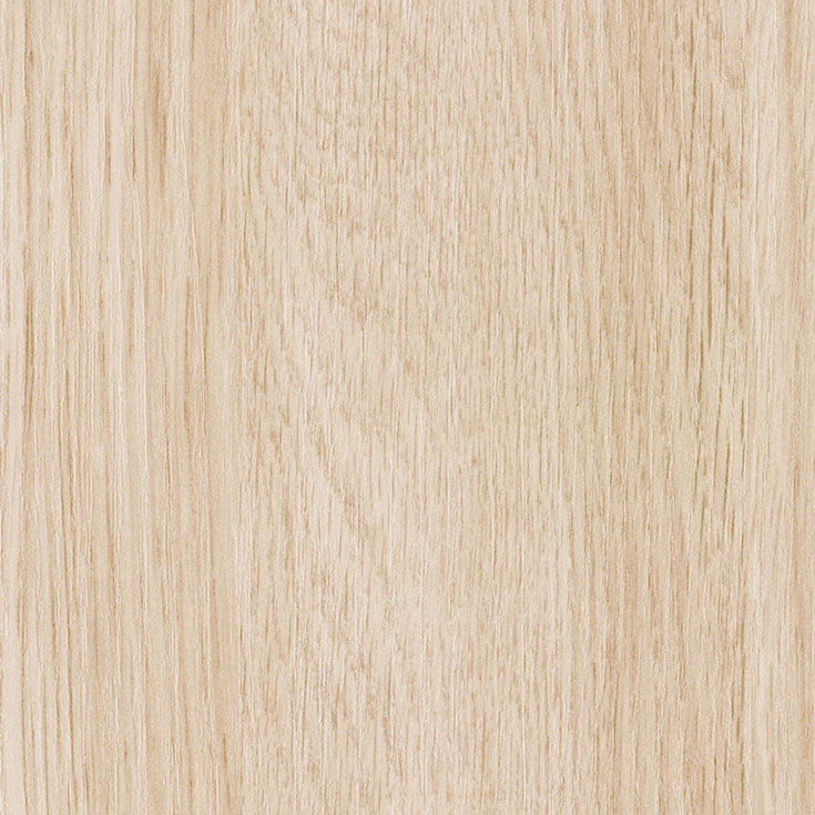 チップ画像