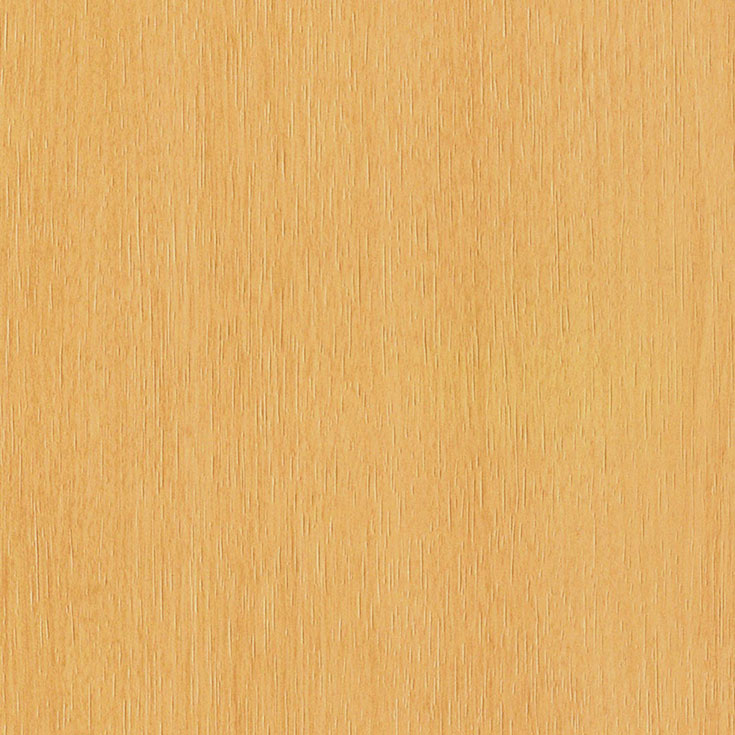 チップ画像